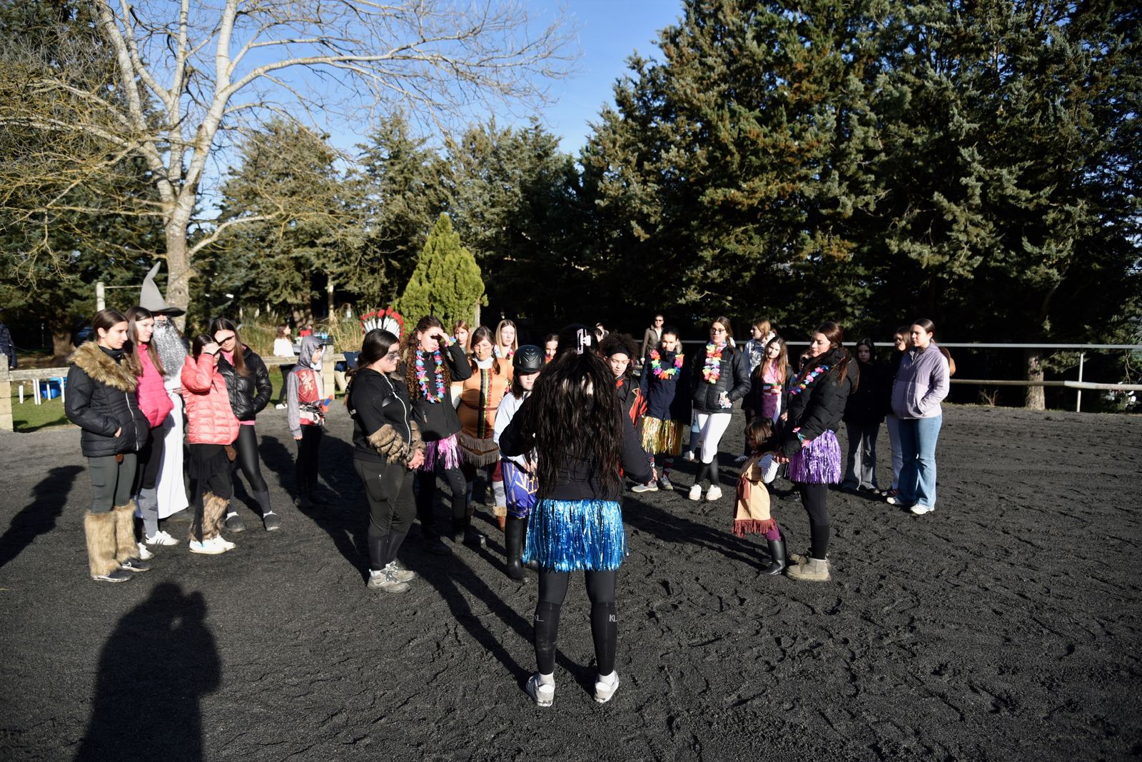Actividad en grupo en AV Sport Horses