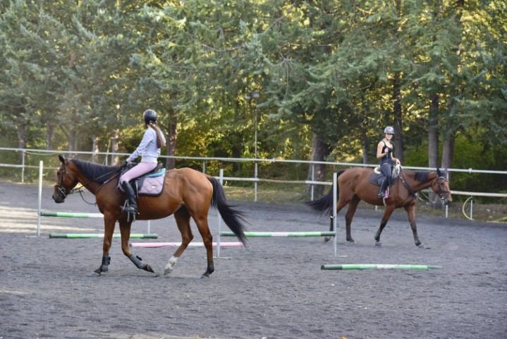 Clase de hípica en pista exterior